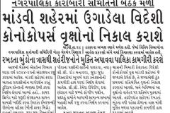 WhatsApp-Image-2026-06-26-at-1.14.02-PM-2
